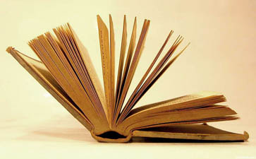 上海翻譯公司_m.lingshanfo.com 上海翻譯公司_m.lingshanfo.com